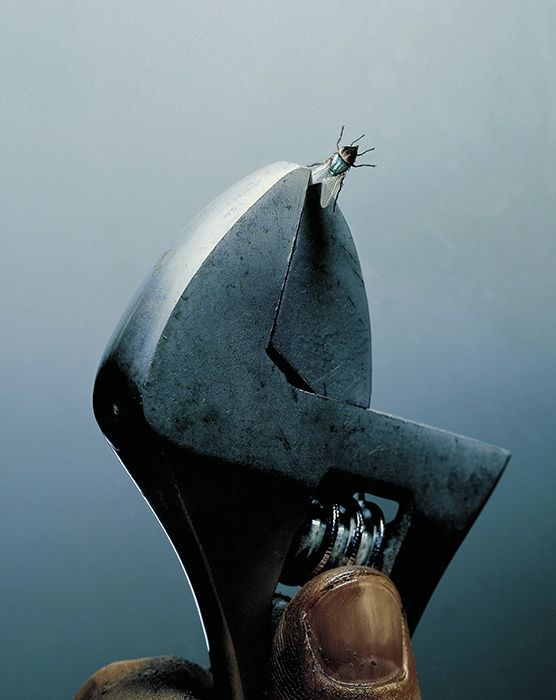 Creative pictures by Juan Salvarredy (39 photos)