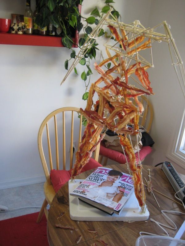 Bacon man construction (24 photos)