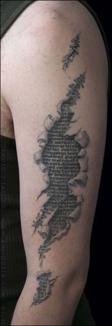 3D tattoos (34 photos)