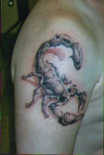 3D tattoos (34 photos)