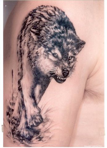 3D tattoos (34 photos)
