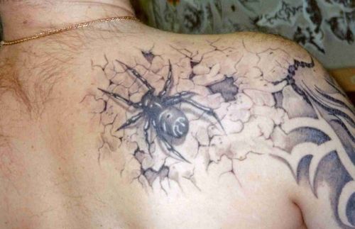 3D tattoos (34 photos)