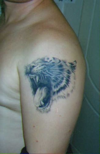3D tattoos (34 photos)