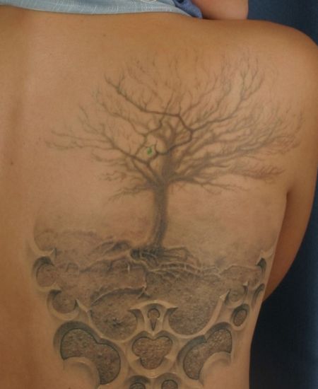 3D tattoos (34 photos)