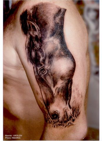 3D tattoos (34 photos)