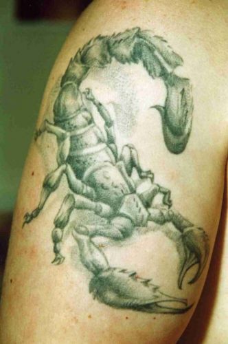 3D tattoos (34 photos)