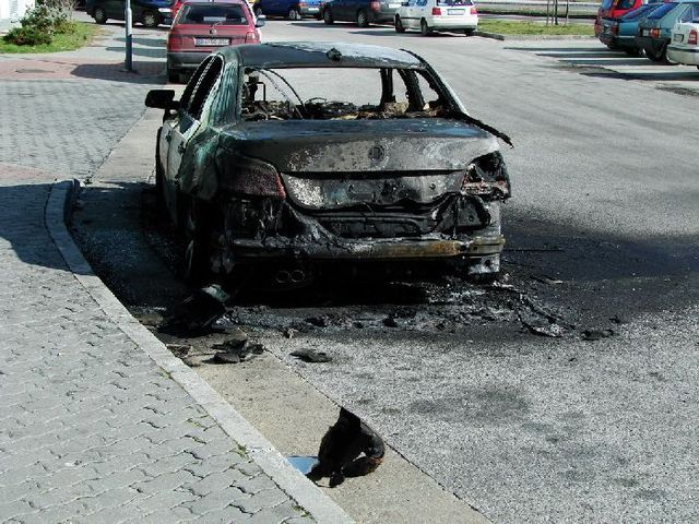 Horrible! Burned cars (9 photos)