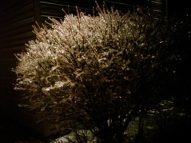 What would happen if it rained in winter? (23 photos)