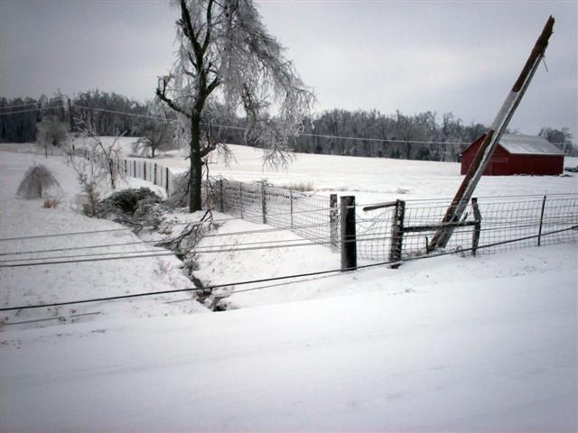 What would happen if it rained in winter? (23 photos)