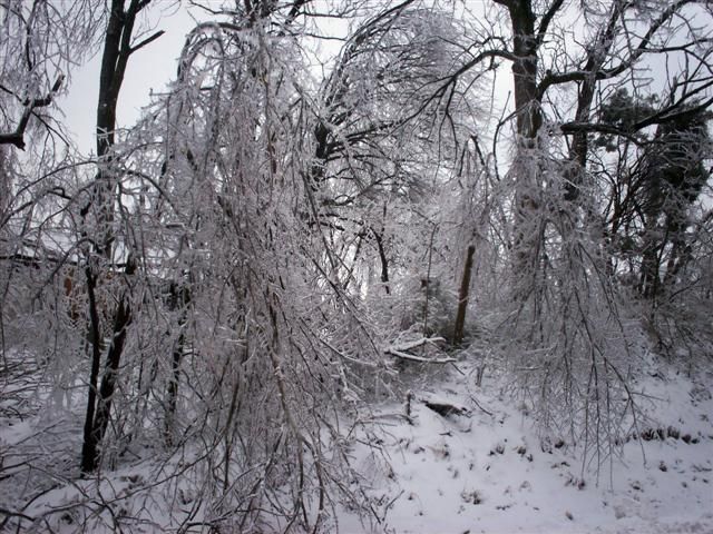 What would happen if it rained in winter? (23 photos)