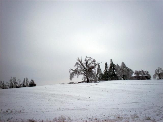 What would happen if it rained in winter? (23 photos)