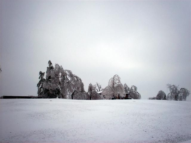 What would happen if it rained in winter? (23 photos)