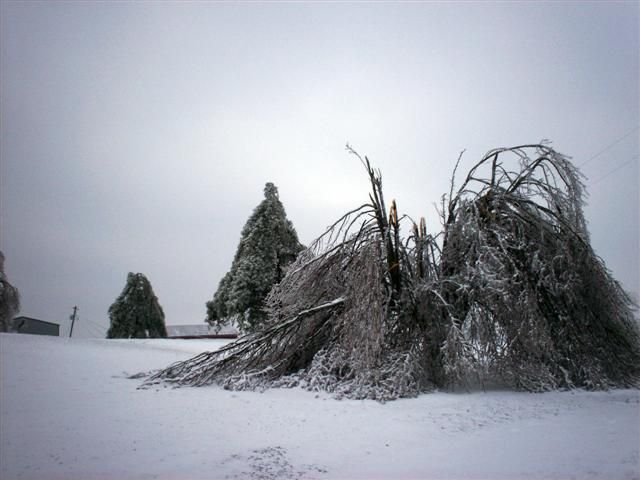 What would happen if it rained in winter? (23 photos)