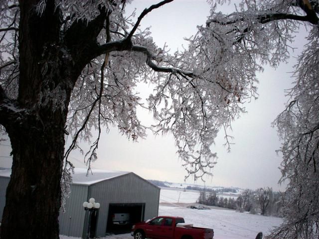 What would happen if it rained in winter? (23 photos)