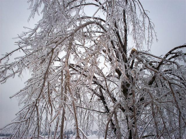 What would happen if it rained in winter? (23 photos)