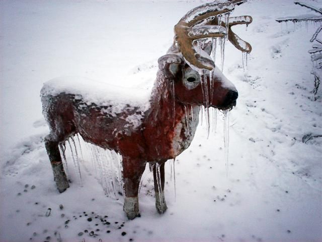 What would happen if it rained in winter? (23 photos)