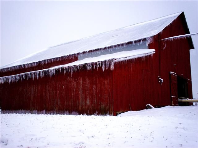 What would happen if it rained in winter? (23 photos)