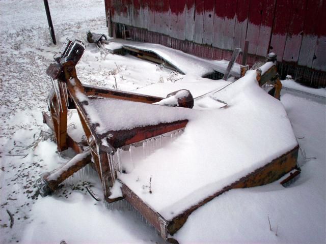 What would happen if it rained in winter? (23 photos)