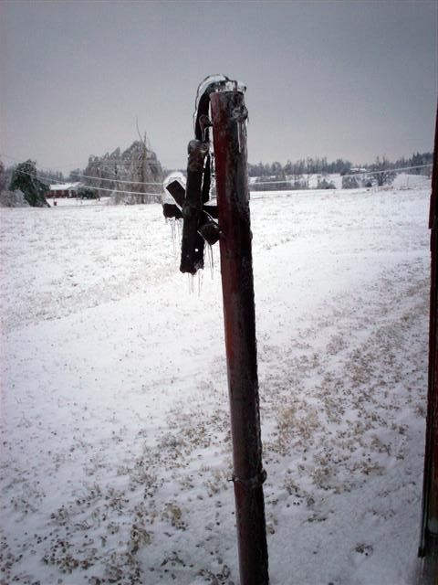 What would happen if it rained in winter? (23 photos)