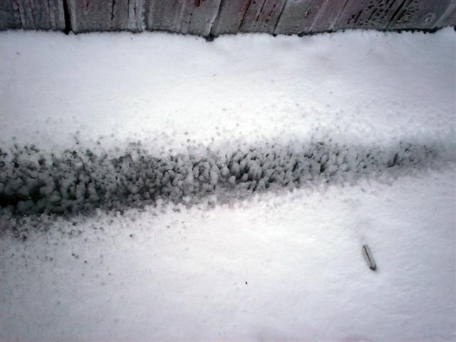 What would happen if it rained in winter? (23 photos)