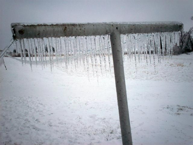 What would happen if it rained in winter? (23 photos)
