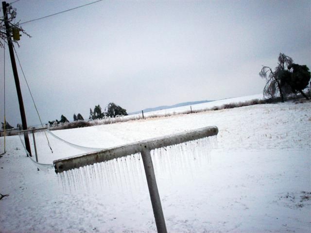 What would happen if it rained in winter? (23 photos)