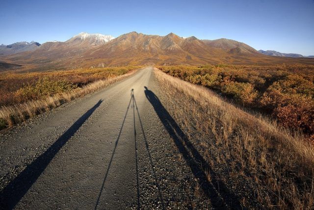 Shadow pictures (21 photos)