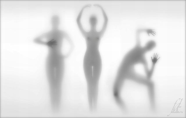 Shadow pictures (21 photos)