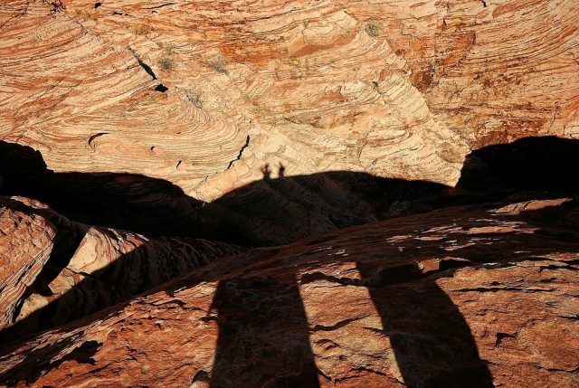 Shadow pictures (21 photos)