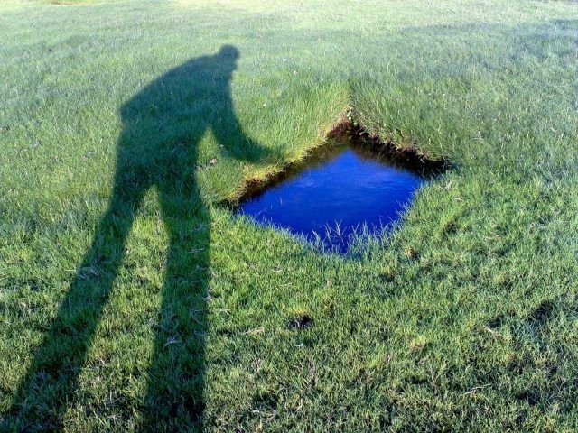 Shadow pictures (21 photos)