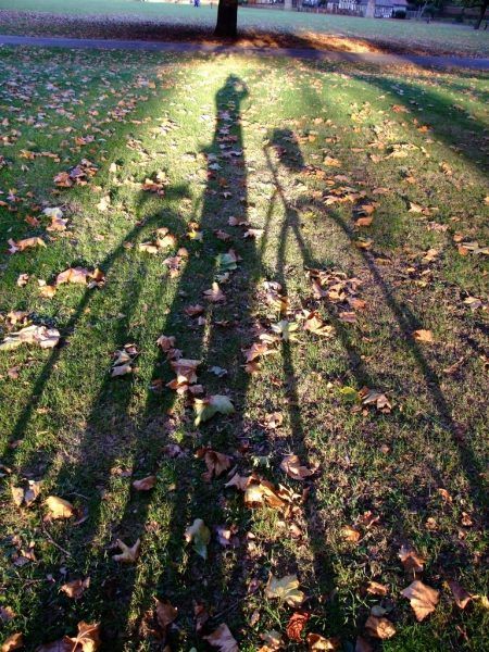 Shadow pictures (21 photos)