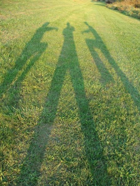 Shadow pictures (21 photos)