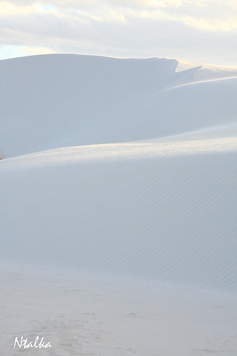 White sands of New Mexico (19 photos)