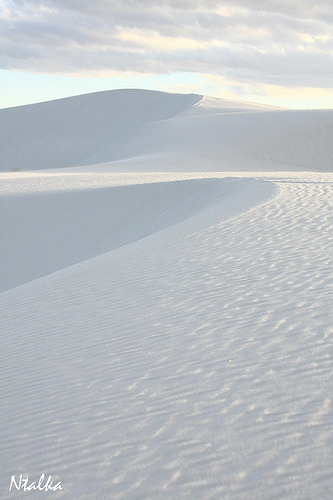 White sands of New Mexico (19 photos)