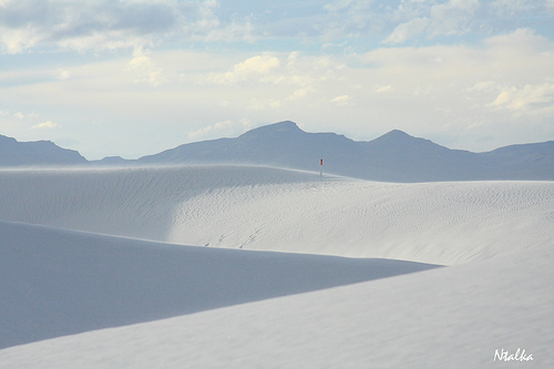 White sands of New Mexico (19 photos)