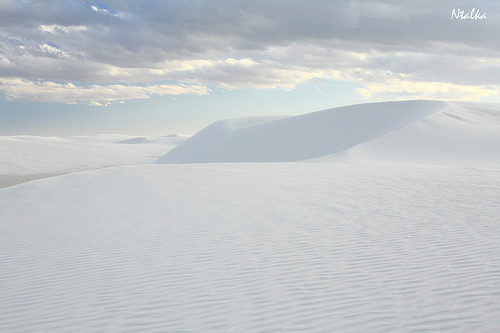 White sands of New Mexico (19 photos)