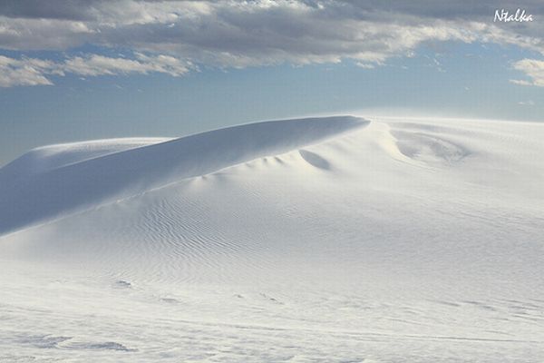 White sands of New Mexico (19 photos)