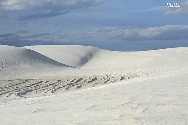 White sands of New Mexico (19 photos)