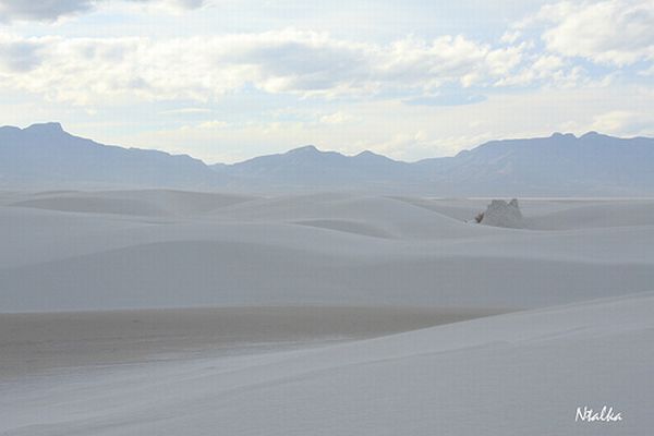White sands of New Mexico (19 photos)