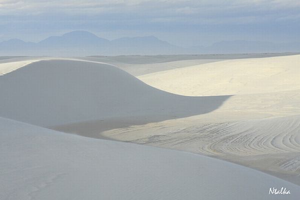 White sands of New Mexico (19 photos)