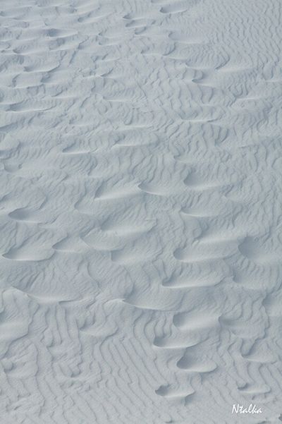 White sands of New Mexico (19 photos)