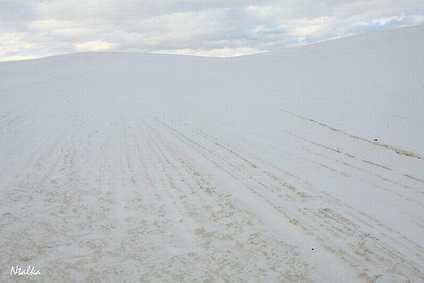 White sands of New Mexico (19 photos)