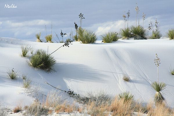White sands of New Mexico (19 photos)