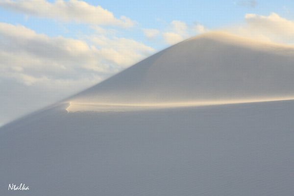 White sands of New Mexico (19 photos)