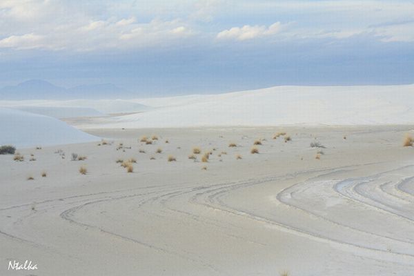White sands of New Mexico (19 photos)