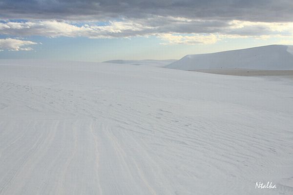 White sands of New Mexico (19 photos)