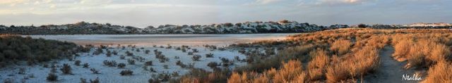 White sands of New Mexico (19 photos)