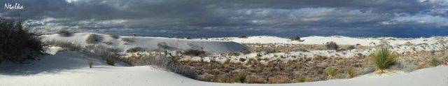 White sands of New Mexico (19 photos)