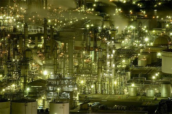 Futuristic Japanese plants (10 photos)