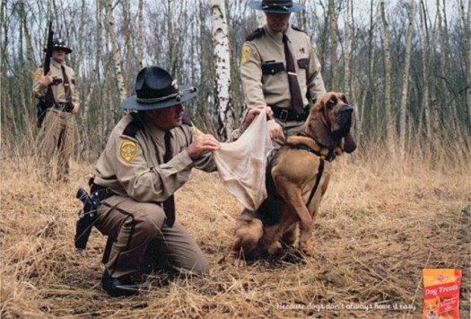 Hilarious pet ads (10 photos)